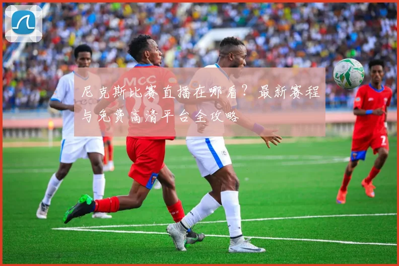 尼克斯比赛直播在哪看？最新赛程与免费高清平台全攻略